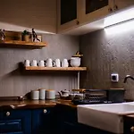 Designer فيلة