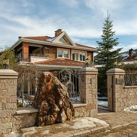 Designer Villa *